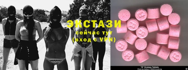 мдпв Инта