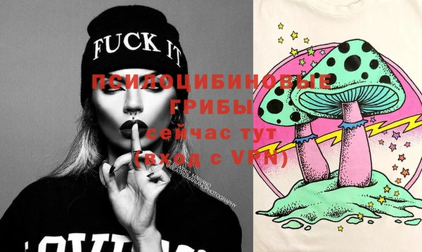 ECSTASY Инсар