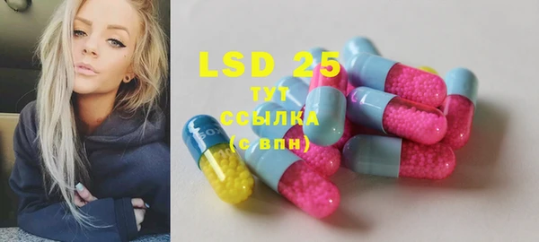 мдпв Инта