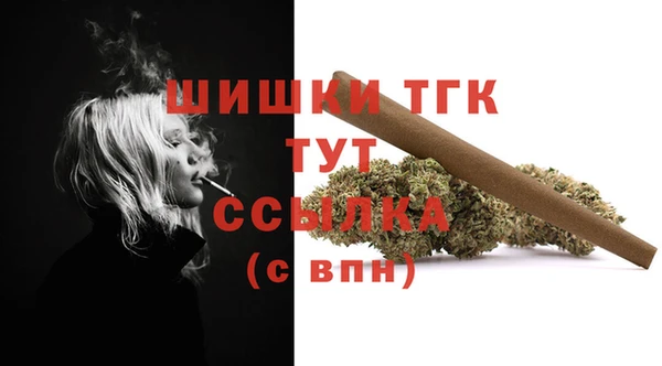 мдпв Инта