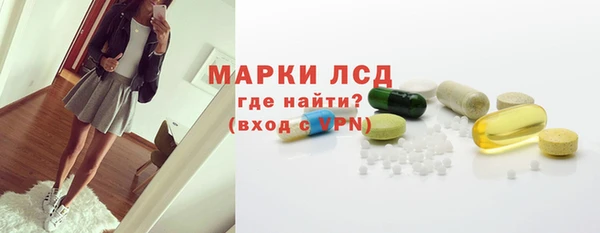 ECSTASY Инсар