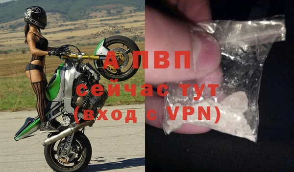 ECSTASY Инсар