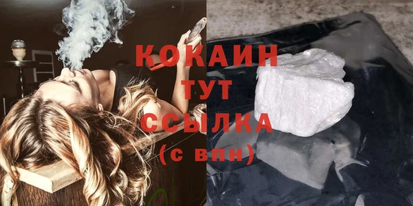 мдпв Инта
