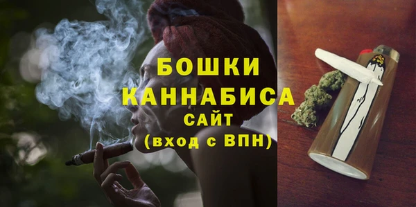 мдпв Инта